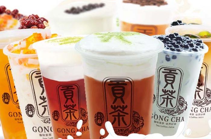 江城贡茶培训